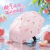 Pink peach pattern all-weather umbrella, fashionable printed portable folding umbrella Specification image